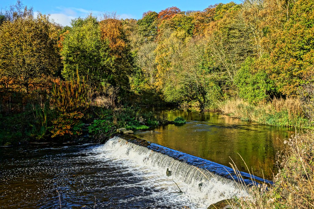 The Land of Oak & Iron: A Derwenthaugh & Gibside Trail